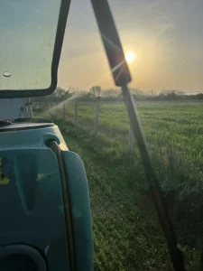 Zalazak sunca u Lešnikovcu, vreme kada su pčele u košnicama i možemo da počnemo sa tretmanom