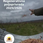 Sejanje semena rukom u voćnjaku u okviru projekta Regenerativna poljoprivreda Lešnikovac 2025-2026