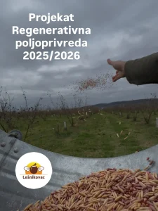 Sejanje semena rukom u voćnjaku u okviru projekta Regenerativna poljoprivreda Lešnikovac 2025-2026