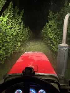 Noćni tretman lešnika u Lešnikovcu radi zaštite pčela
